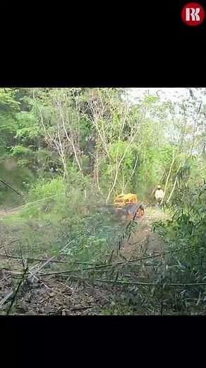 竹林の整備、雑木林の伐採に最適【ラジコン草刈機かるぞ１３】油圧林業マルチャー
