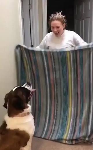 Follow us for more memes 😂 #fyp #foryou #foryourpage