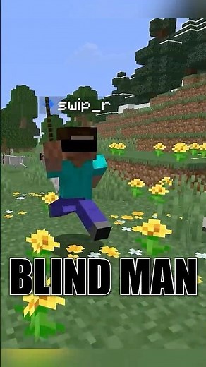 I Beat MINECRAFT as a BLIND MAN