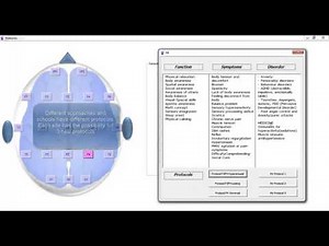 Neurofeedback Protocols Guide