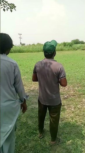 🚁 Advanced Drone Spraying on Paddy Fields | Protecting Rice from Pests 🌱