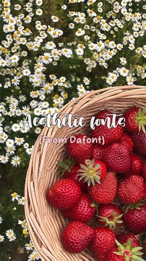 aesthetic fonts from Dafont app