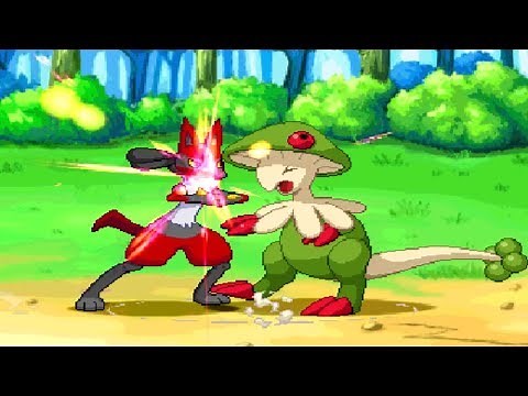 POKÉMON DE PELEAS EN 2D! SUPER ÉPICO!