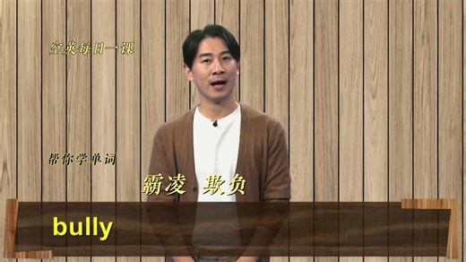 bully意思、发音、使用场景
