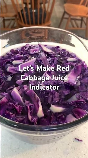 Easy Red Cabbage Juice Indicator Recipe for Science Labs