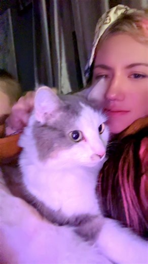 #softkitty#scottie#catsoftiktok #fyp