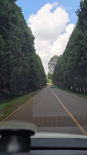 Kefri Forest Zambezi Drive: Beautiful Views