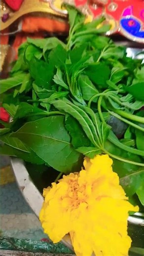 saj gaye bhole baba#short