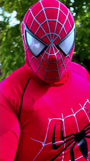 Spider-Man encounters The Punisher!