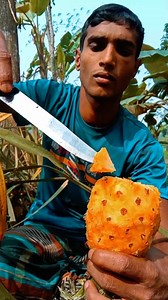 I found pineapple in the forest #camping #bushcraft #survival #outdoors #survival_bogura #reels #fbreels | Survival Bogura
