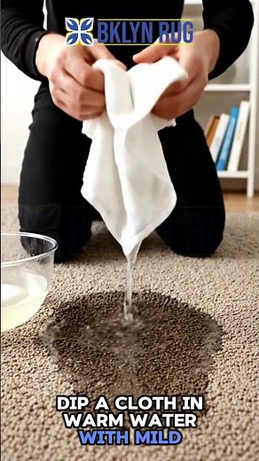 DIY Hack for FOOT Traffic Stains on Rugs in Brooklyn
