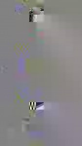 Imagine your puppy being this at only 6,5 months old 😱 | Cane Corso Pets