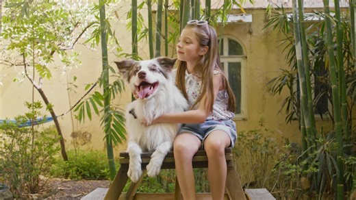 Girl Hugging Dog - Free Stock Video