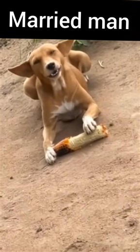 5.8K views · 12 reactions |  | Deepleague Advertising | Facebook