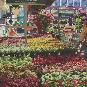 Get started on your Spring projects and visit us today for all your lawn and gardening needs. | The Home Depot