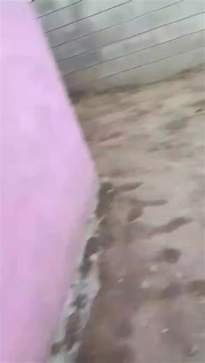 Videos de De Luna Circus🎪🌙🤡 (@delunacircus) con “Flores el Mero Patrón - JoselDJ”