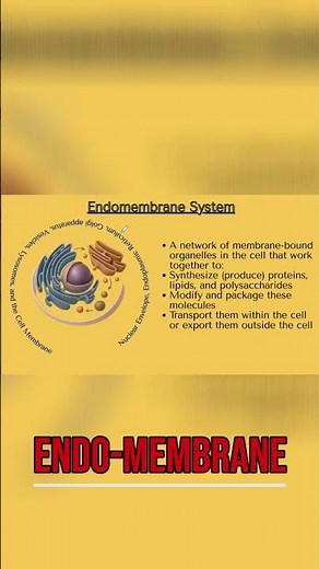 Endomembrane System: Cellular Entry & Exit Explained! #shorts