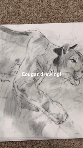 Cougar drawing! Trying to get to 20 subs