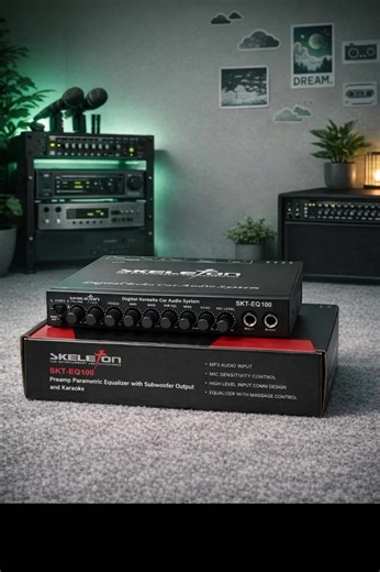 Preamp Parametric Equalizer for Karaoke Use