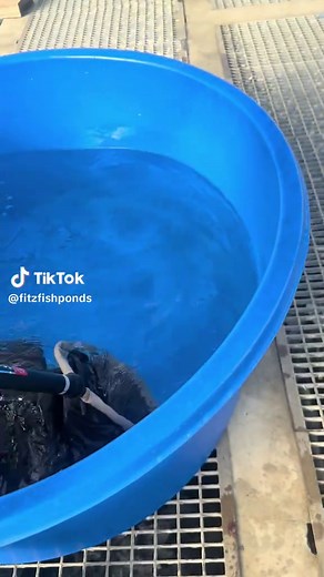 Fitz Fish Ponds & Koi: Maruten20 for Free?