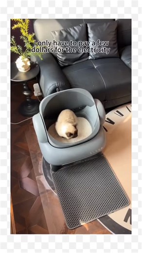 findsyhub for cats | ✨ Say goodbye to scooping forever! ✨ Meet the Neakasa Smart Self-Cleaning Litter Box — the ultimate upgrade for modern cat parents 🐾 ✅... | Instagram