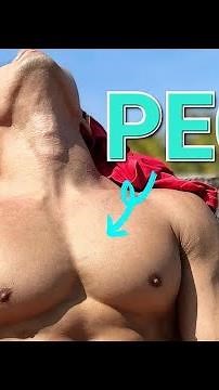 PECS Punk To Muscle Worship! | Thick Chest Muscles We Envy