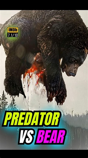 [Action Series] PREY🔥Predator vs Grizzly Bear Scene