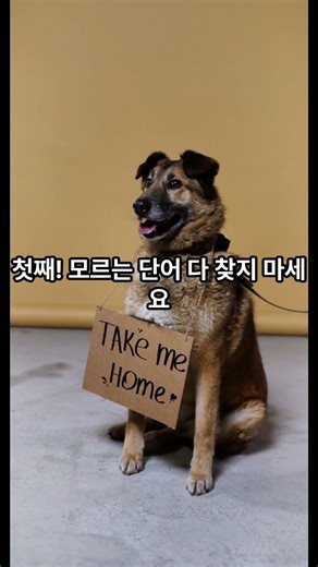 경제 뉴스 3개월 만에 귀가 뚫리는 비결