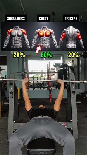 Bench Press Grip Guide | Chest vs Triceps vs Shoulders Activation #shorts