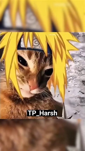 Summoning Jutsu in Real life