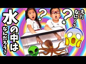 OMG What's in the Box? Under Water Edition