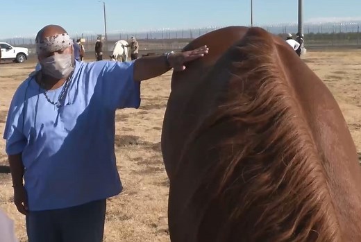 Horses make a difference for VSP incarcerated