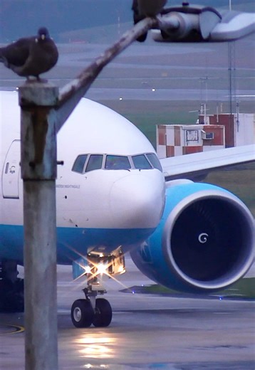 Big bird ✈️ #boeing #777 #plane #aviation #bird