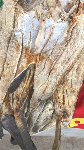 32K views · 1.2K reactions | Zona do peixe seco, mercado do buraco Ramiros | Geração do Hustler | Facebook