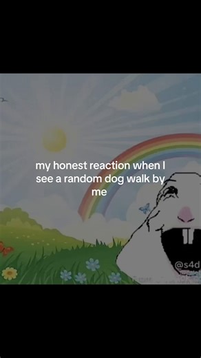 Funny Dog Memes: My Honest Reaction