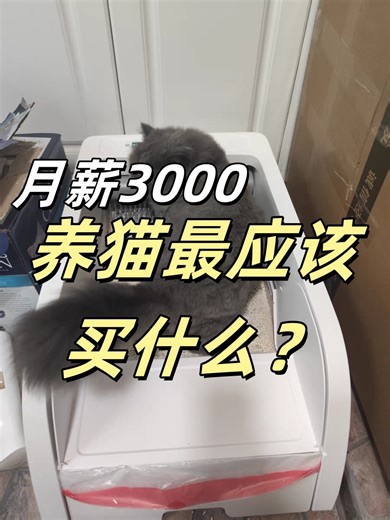 猫乱拉尿，居然买个自动猫砂盆就能搞定？