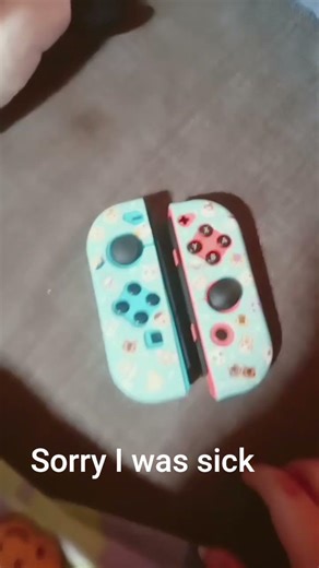 upgrade my Nintendo switch joy-con
