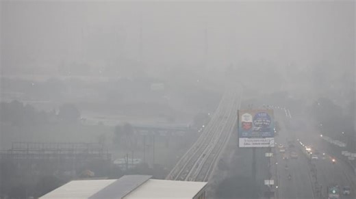 Indore News: 4.9 डिग्री पर ठिठुरा इंदौर, कोहरे ने रोकी ट्रेनों की रफ्तार, फ्लाइट्स भी हुई कैंसिल