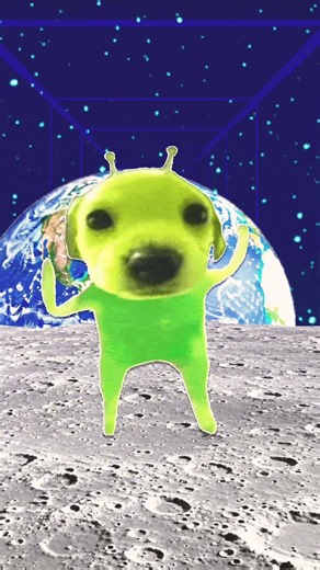 I’m not that innocent #funny #memes #dog #alien