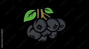 Chokeberry with leaves graphic animation. 4K resolution. Black ashberry with transparent background motion design