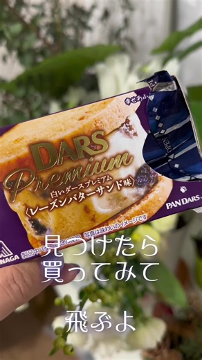 #森永製菓 #dars #chocolate #チョコレート #japanesesnacks #冬季限定 #白いダース #白いダースプレミアム #そういやアイスも美味かった