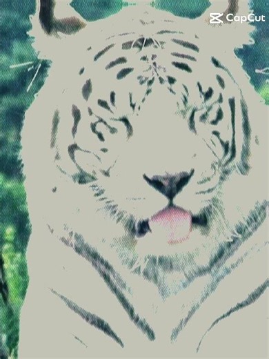 This is a tutorial for cap cut users btw (did this by myself!!)