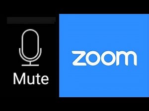 3 Easy methods to mute or unmute Zoom Meeting?