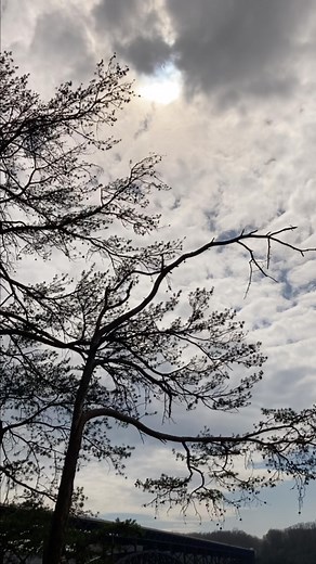 67 reactions | Solar eclipse views from the gorge! #visittheville #solareclipse | Visit Fayetteville, WV | Facebook