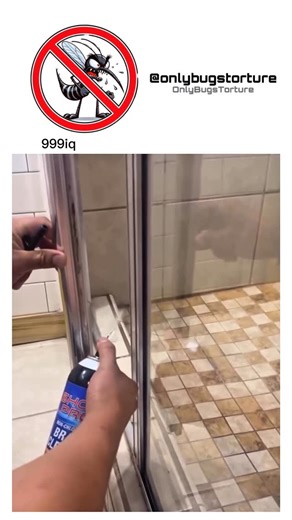 Onlybugstorture | The act of torturing bugs underscores humanity’s complex connection to the natural world. Frequently viewed as insignificant, insects are... | Instagram