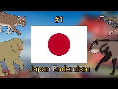 Endemic Animals Of Japan