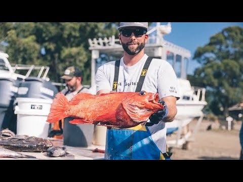 Bringing local fish back to Shelter Cove | Fisherman Jake Mitchell