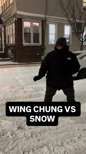 Wing Chung vs Snow