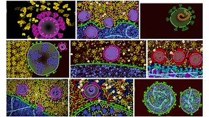 Coronavirus CellPAINT Contest Winners #ArtTuesday