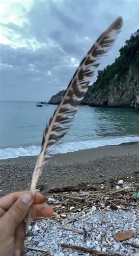 Zitkála-Šá (Sioux): “Senza la musica delle nostre tradizioni, l’anima si smarrisce.”